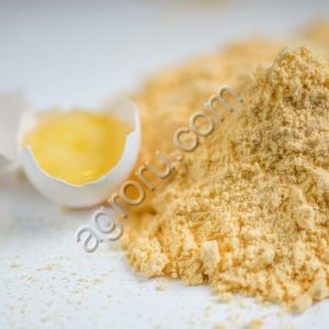 Яичный порошок