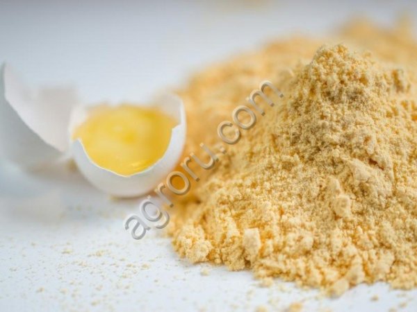 Яичный порошок