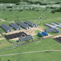 Молочная ферма 1200 голов