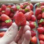 Клубника свежая