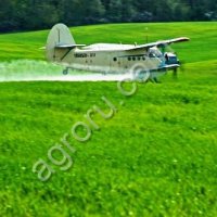 Химобработка полей кукурузником Ан-2