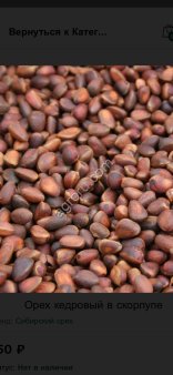 Кедровый орех