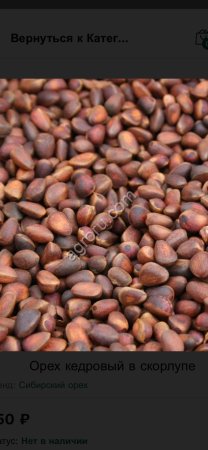 Кедровый орех