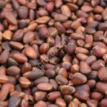 Кедровый орех