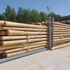 Сушилки для дерева