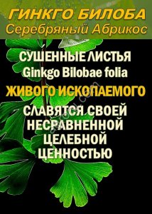 Функциональны чай. Листья Гинкго двулопастного Ginkgo Bilobae folia