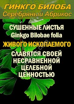 Функциональны чай. Листья Гинкго двулопастного Ginkgo Bilobae folia
