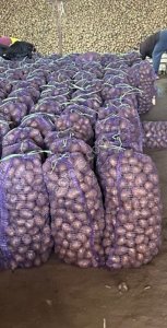 Картофель оптом.