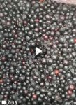 Черная смородина замороженная