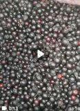 Черная смородина замороженная