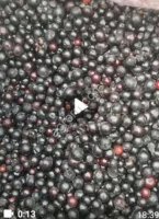 Черная смородина замороженная