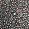 Черная смородина замороженная