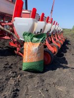 Семена подсолнечника ЗКС Прогрессия