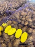 Картофель Оптом