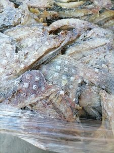 Хребты белой рыбы