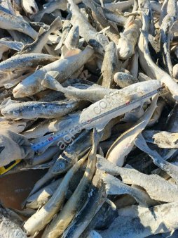 Навага НР ворошенка