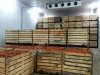 Оборудование Холодильное Для Овощехранилищ. Агрегаты.