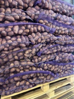 Картофель оптом.