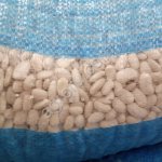 Фасоль белая лопатка