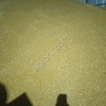 Пшеница твердая