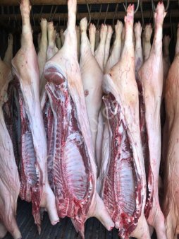 Свинина полутуши охлажденка заморозка