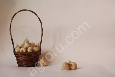 чеснок (зубок, однозубка, бульбочка, продовольственный)