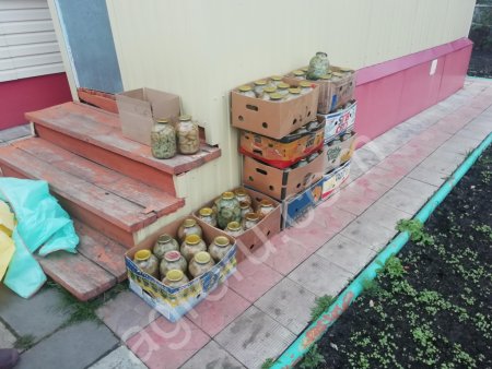 Грузди солёные