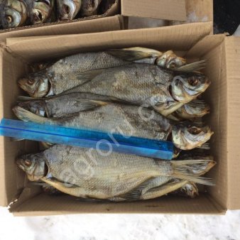 Рыба вяленая (Рыбинское водохранилище)