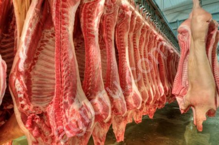 свинина оптом