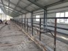 Доильные залы,молокопровод,переработка молока,стойловое