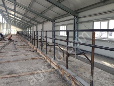Доильные залы,молокопровод,переработка молока,стойловое