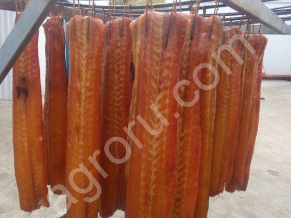 Осетр холодного копчения