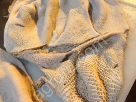 Рубец говяжий пропаренный, обработанный.