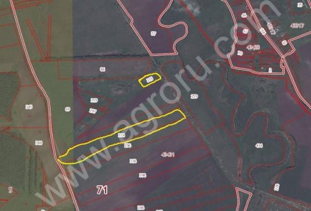 Участок под собственное хозяйство, ранчо, ферму 10 га - ГАТИ