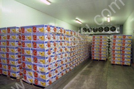 Бананы оптом