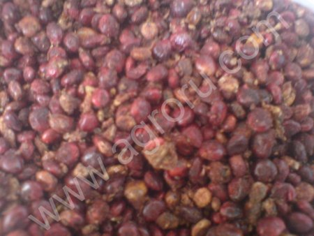 Лавровый лист