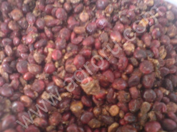 Лавровый лист