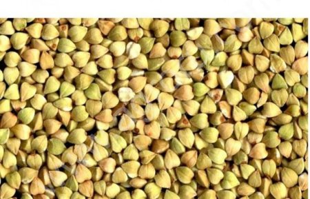 Зеленая гречка (непропаренная)