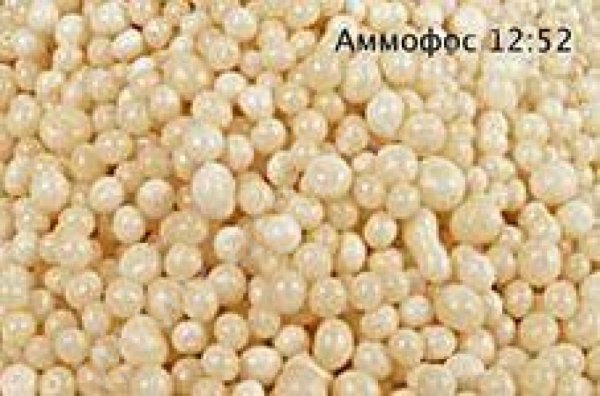 АММОФОС