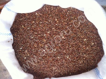 Рис нешлифованный красный (бурый, коричневый), шелушеный, неочищенный