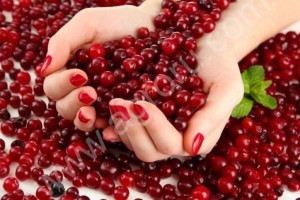 Свежая клюква
