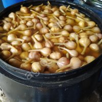 Соленый чеснок