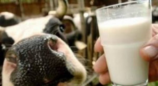 В Атнинском районе надой на одну корову составил 17,3 кг