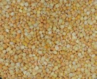 Горох колотый