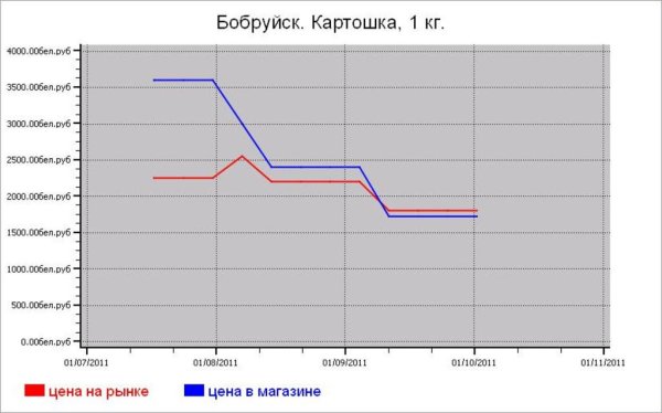 Беларусь: овощные цены Бобруйска
