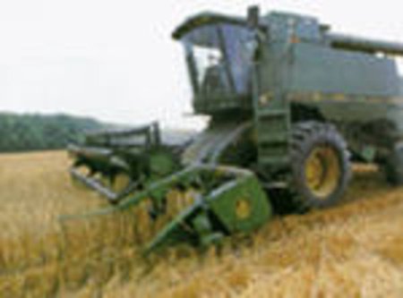 Качество зерна в России в этом году выше прошлогоднего