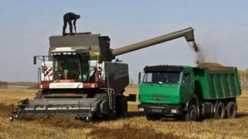 Опасения за урожай - Краткий обзор зернового рынка