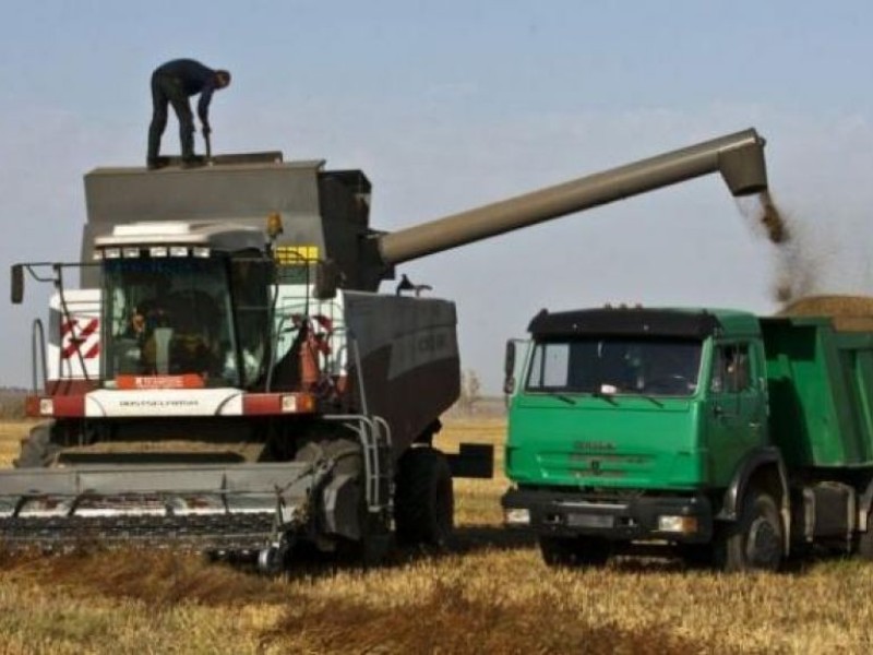 Опасения за урожай - Краткий обзор зернового рынка