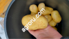 Картофель оптом Фиделия от производителя