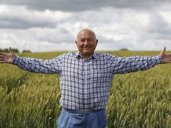 Агрокомплекс Лужкова планирует занять треть рынка гречки Калининградской области